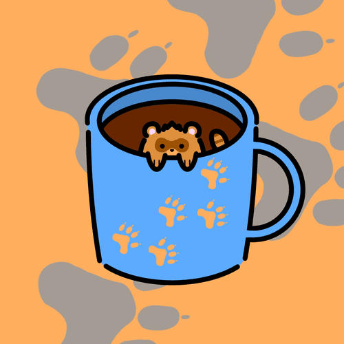 Raccoon 
