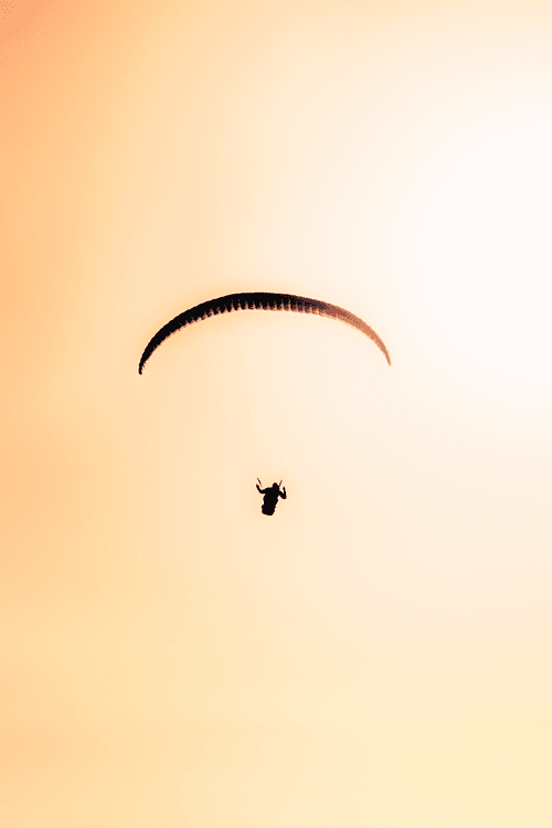 Golden Light #7