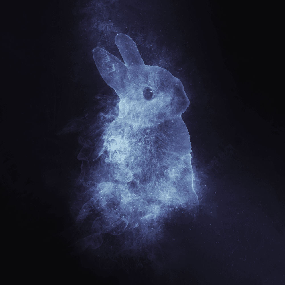 Rabbit is My Spirit Animal 02 - Spirit Animal 101 | OpenSea