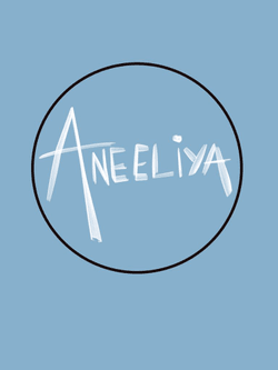Aneeliya Collection collection image