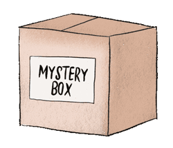 Mystery Box Project collection image