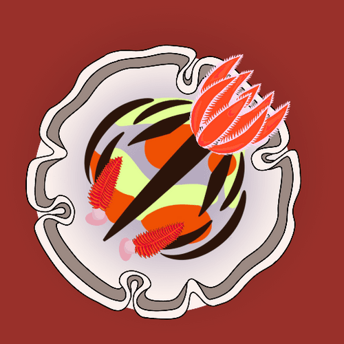 NudiBrand #47
