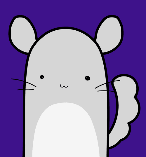 Very Long Monochrome Animals Chinchilla