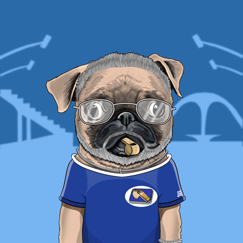 Pug #0208