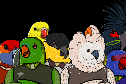 Birderhood pfp