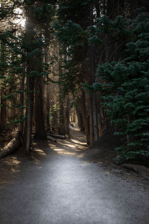 Dream in Yosemite - Enchanted 