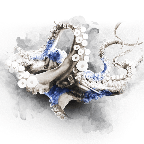 BLUE SERIES - OCTO