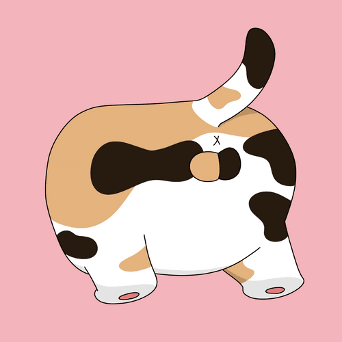 CAT HIP #4