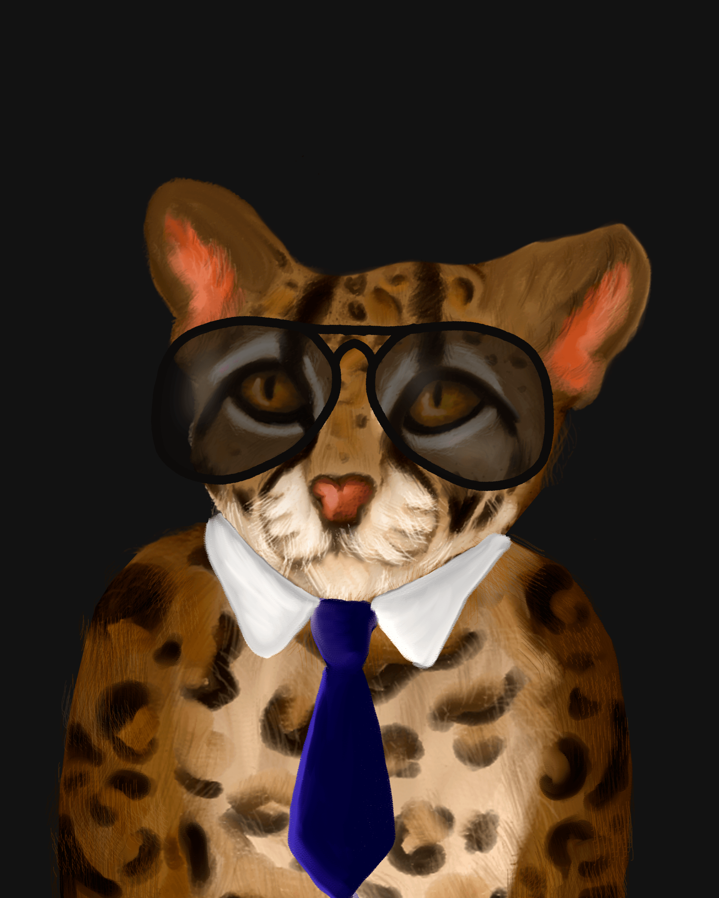 Mr. Silva Cat