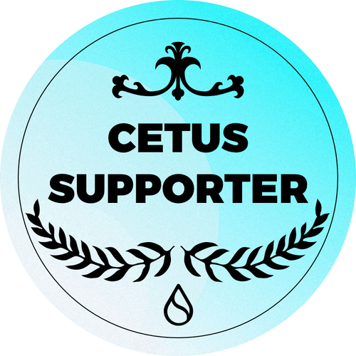 Cetus x Sui NFT