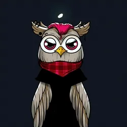 OWL TOWN collection image