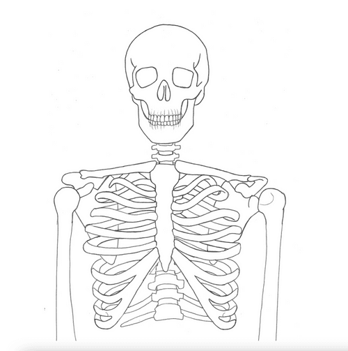 SKELE-LINK #400