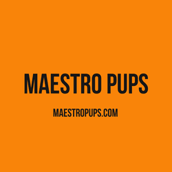 MaestroPups