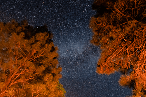 Through My Daughter's Eyes