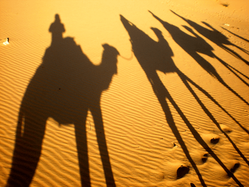 Camel caravan