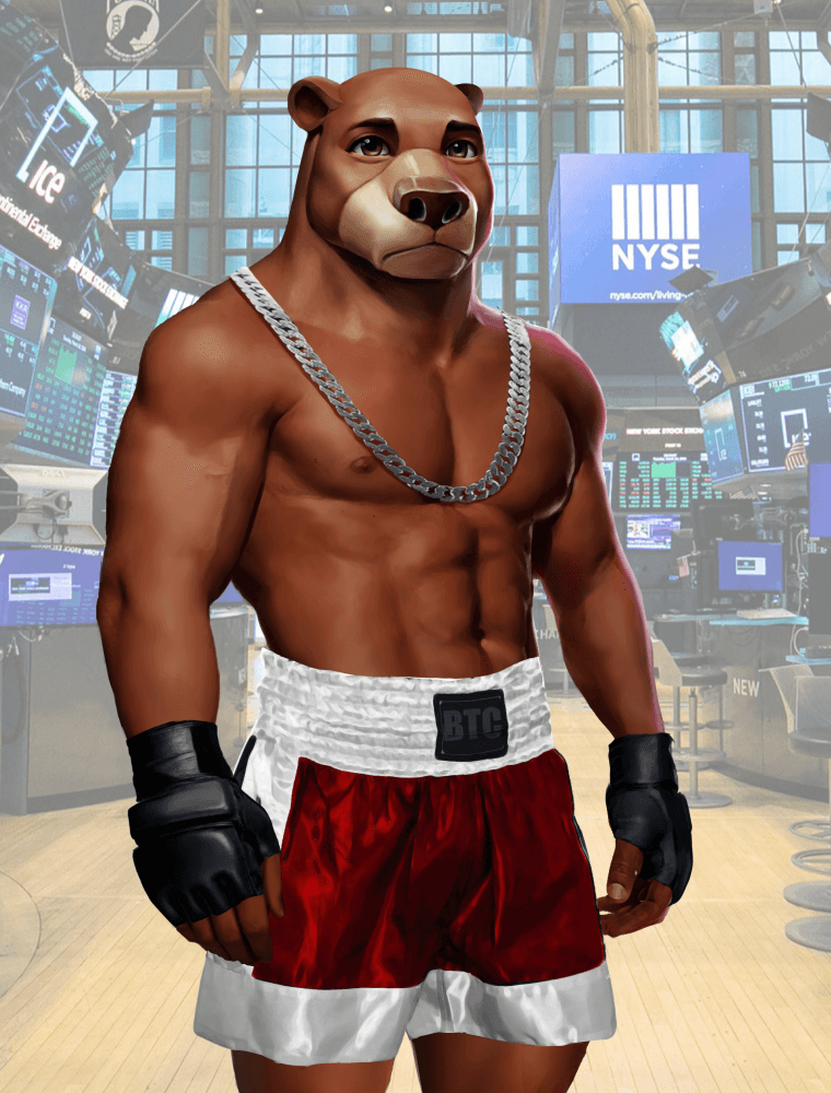 Wall Street Avatar Fighter Bear #376