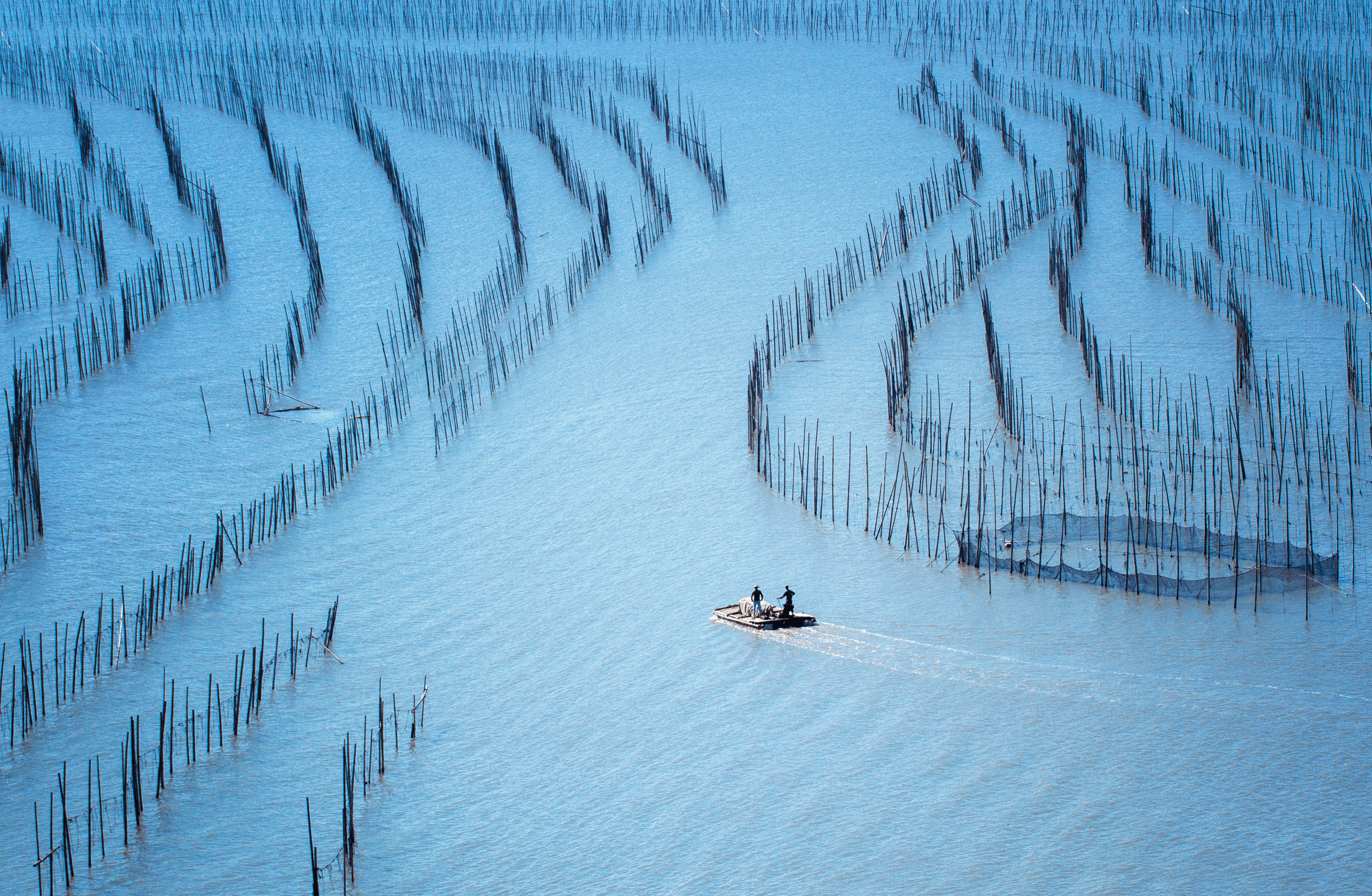 BLUE ROAD