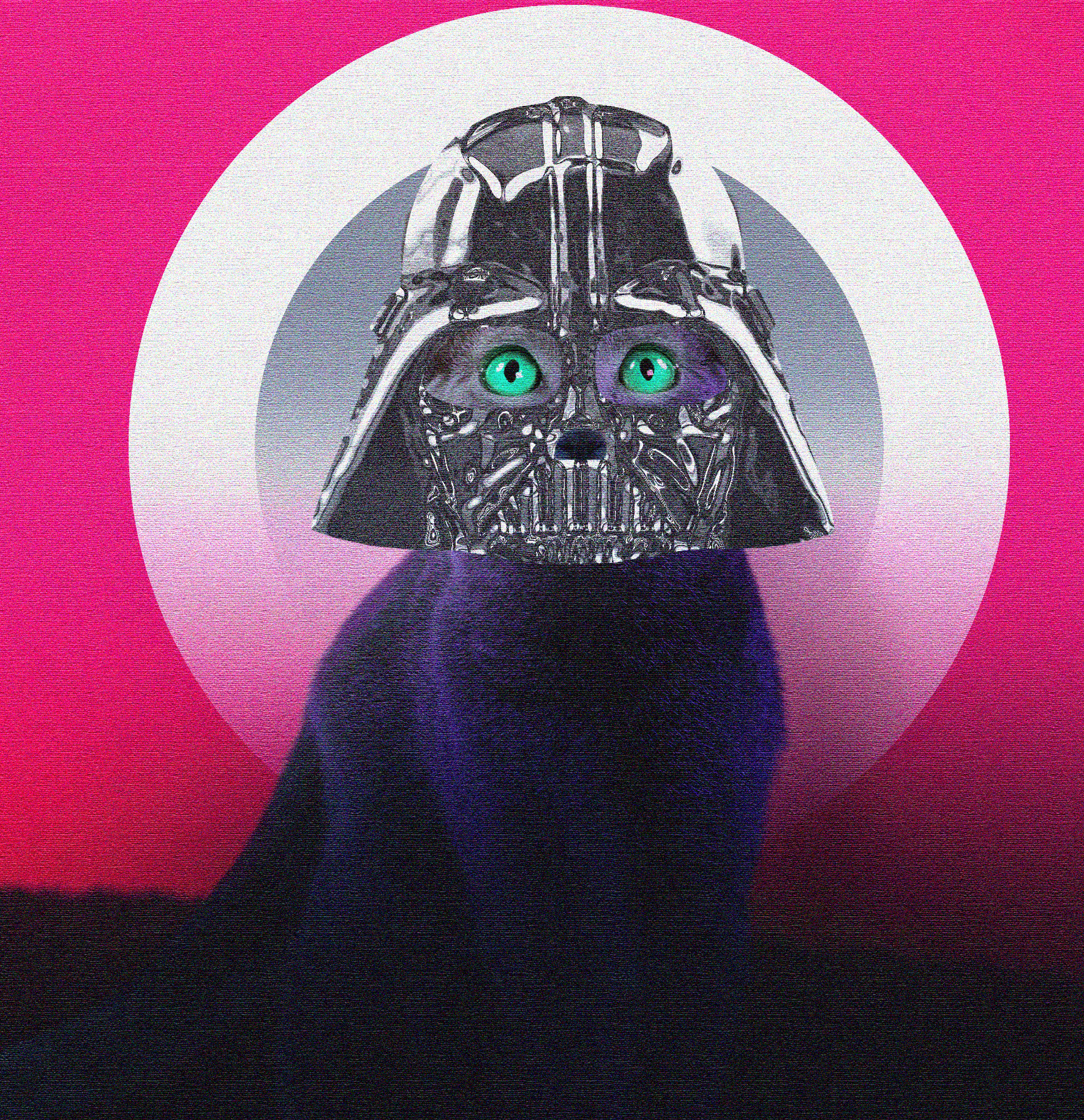 Darth Vader Cat