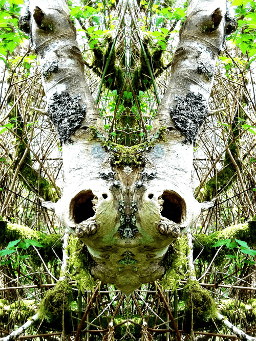 METAMINDSCAPES