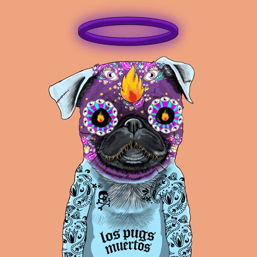 Pug #0135