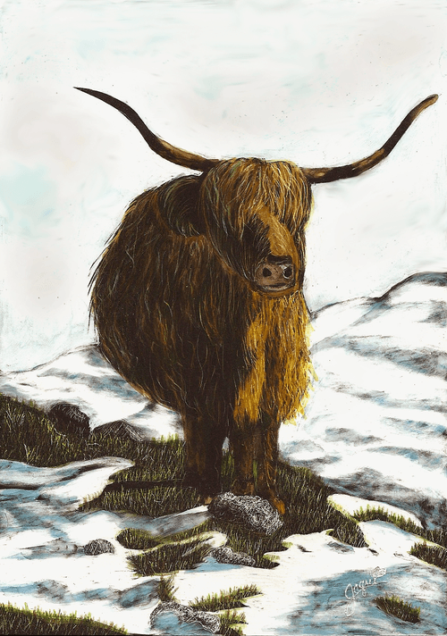 Heelan' Coo