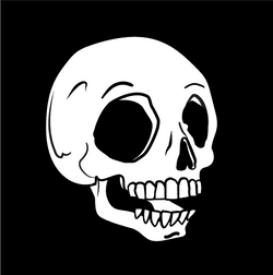 Dazed Skulls Crew Originals collection image