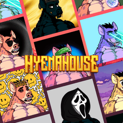 HyenaHouse collection image