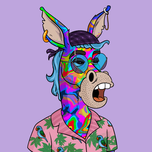 Criminal Donkey 1270