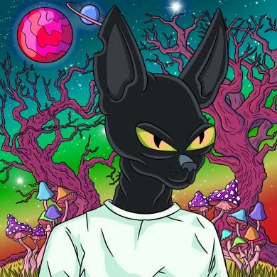 PolygoCatz