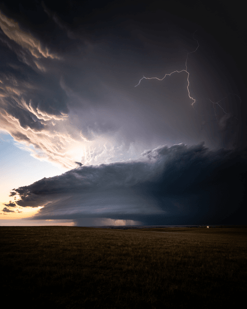 Supercellular #8: Veneration