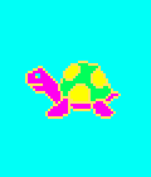 Tiny Turtle #62