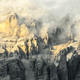 Treasure of the Earth - mQK7721vL6