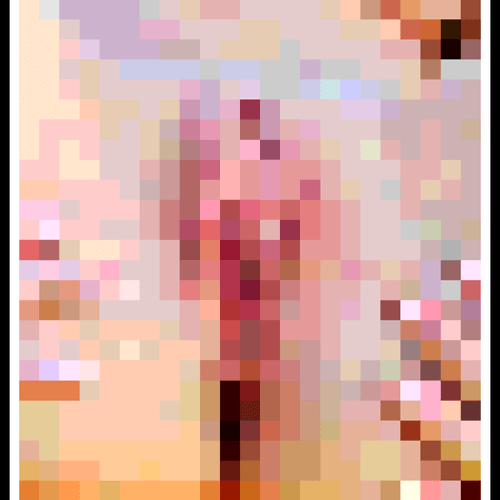 Nude Pinup Model Pixel Art
