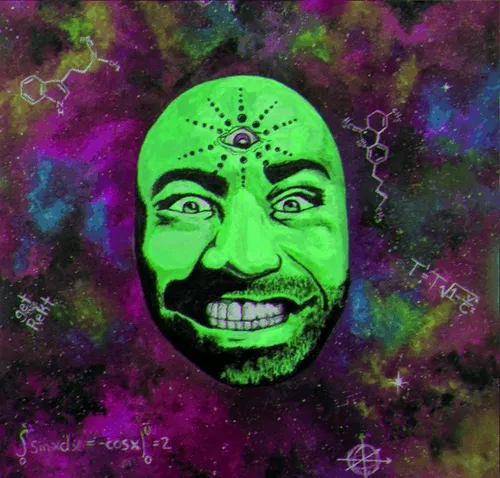 The Joe Rogan Experience: DMT Edition V24