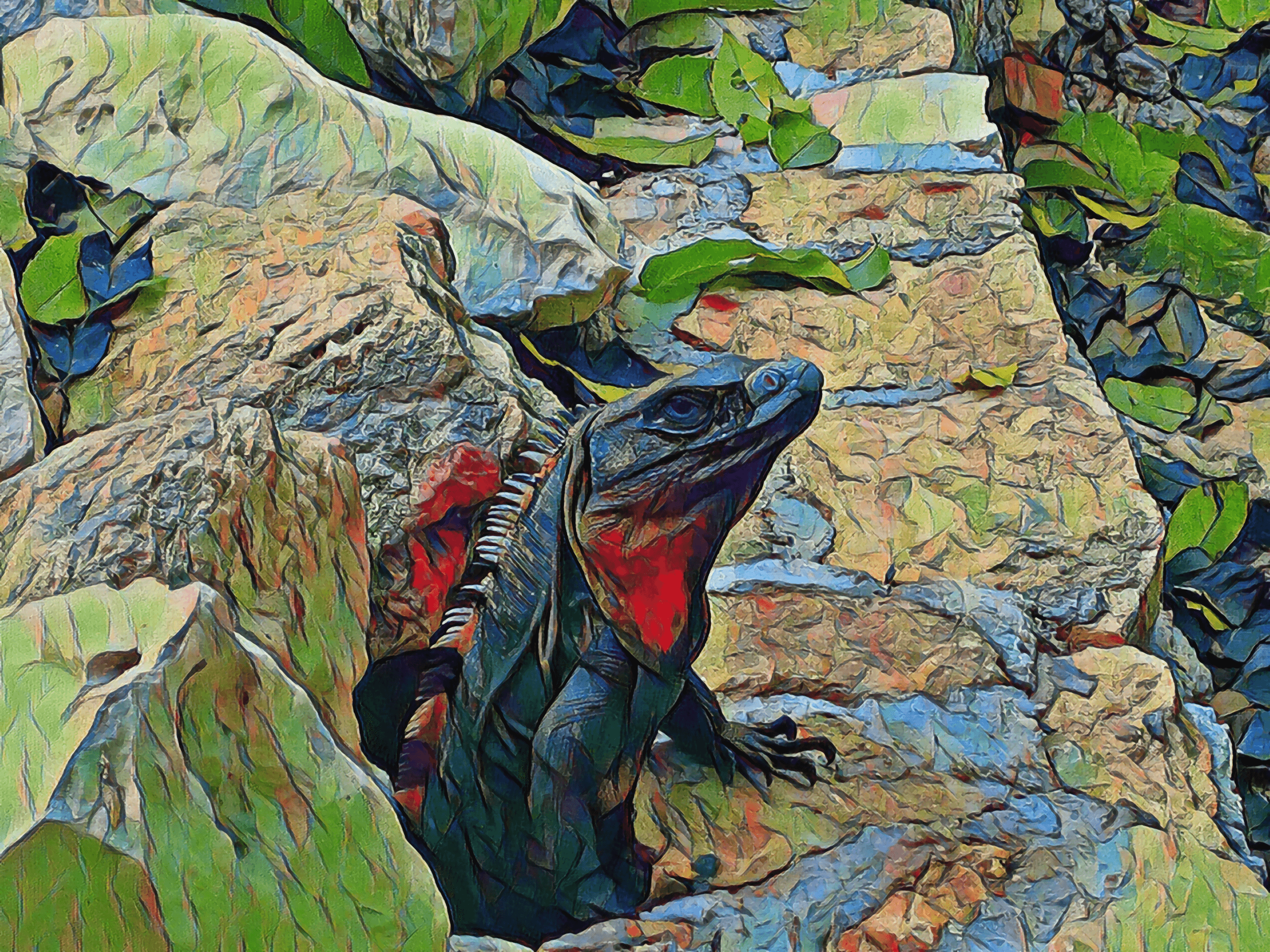 Mexican Spiny-Tailed Iguana Photo Art by Brian Cimins