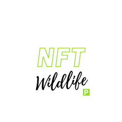 NFT Wildlife Park collection image