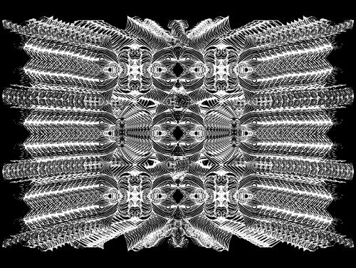 Cosmic Collision Of Chromosomes