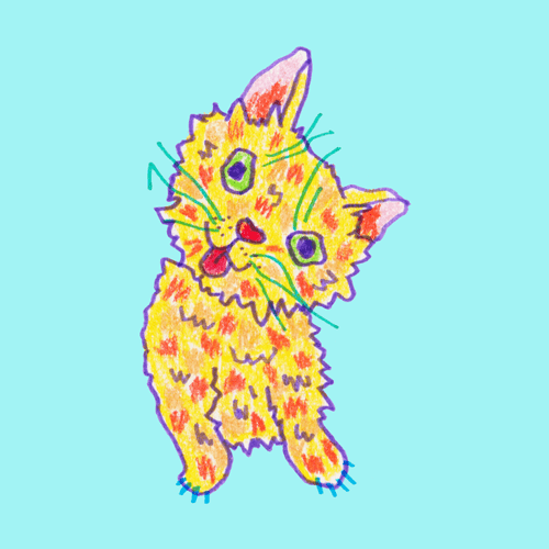 MEW MEW 16