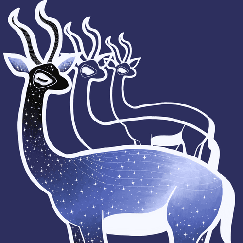 Night Litocranius Walleri