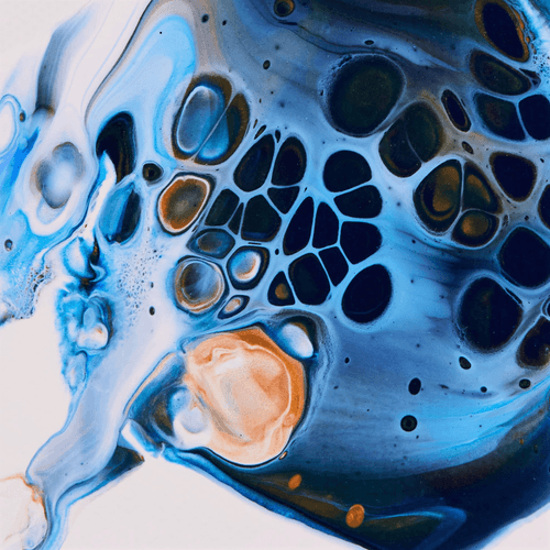 Fluid Cells #15