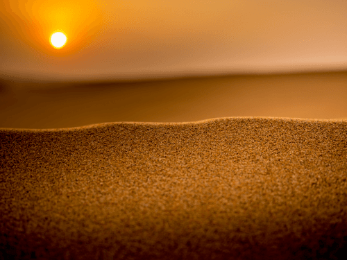 Desert in Dubai #1