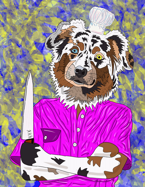 Chef Boi R Doge 22 Australian Shepherd Executive Chef Yuji