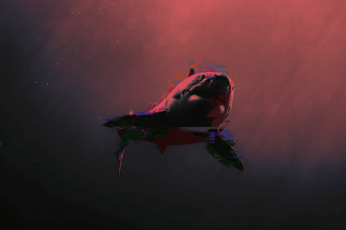 Abstract Shark 008