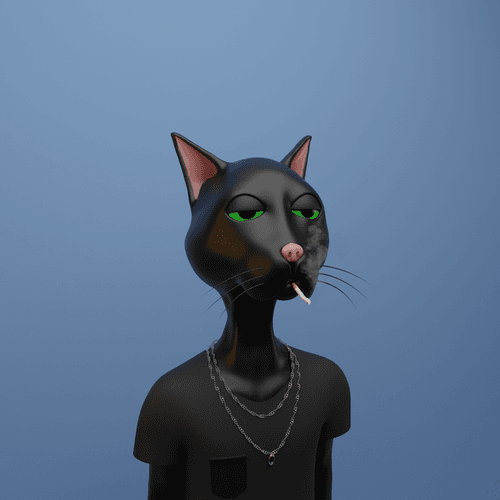 Lazy CryptoCat #3