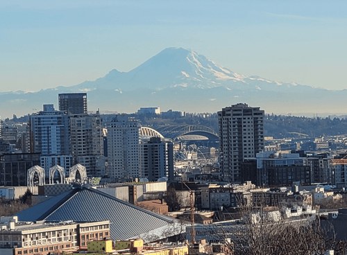 CitySlicking With a View