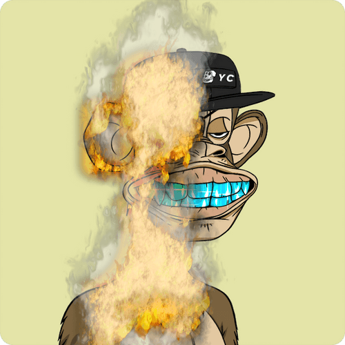 BURN BAYC #4215