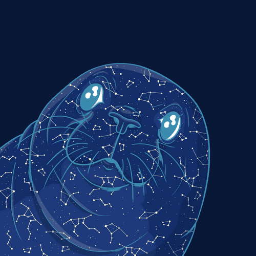 Constellation Seal #064