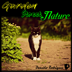 Garden Street Nature collection image