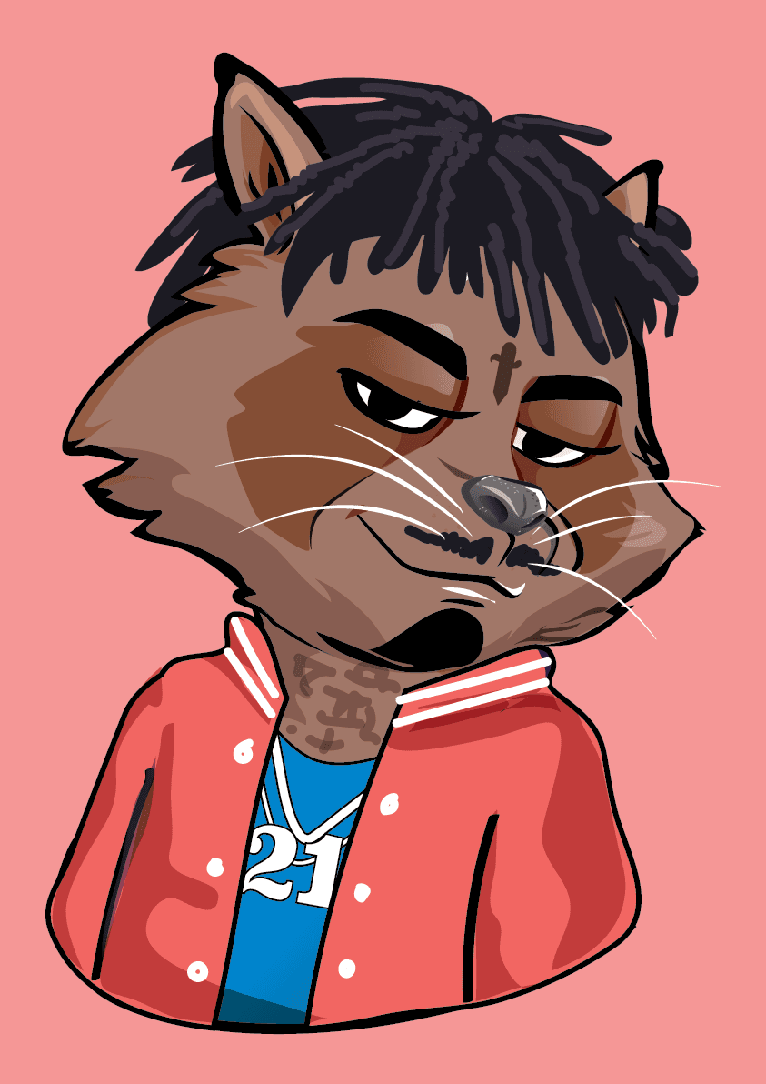 Raccoon-260