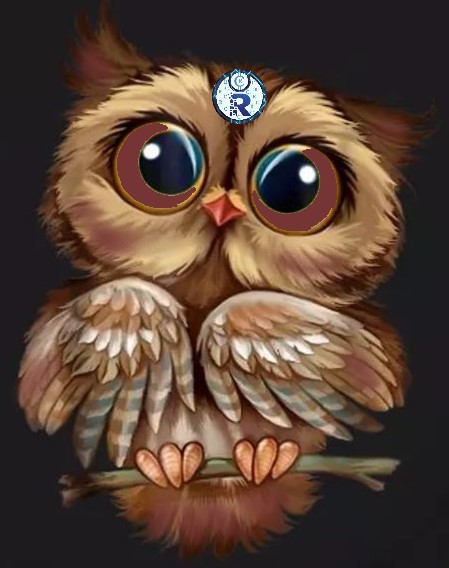 OWL-Magic